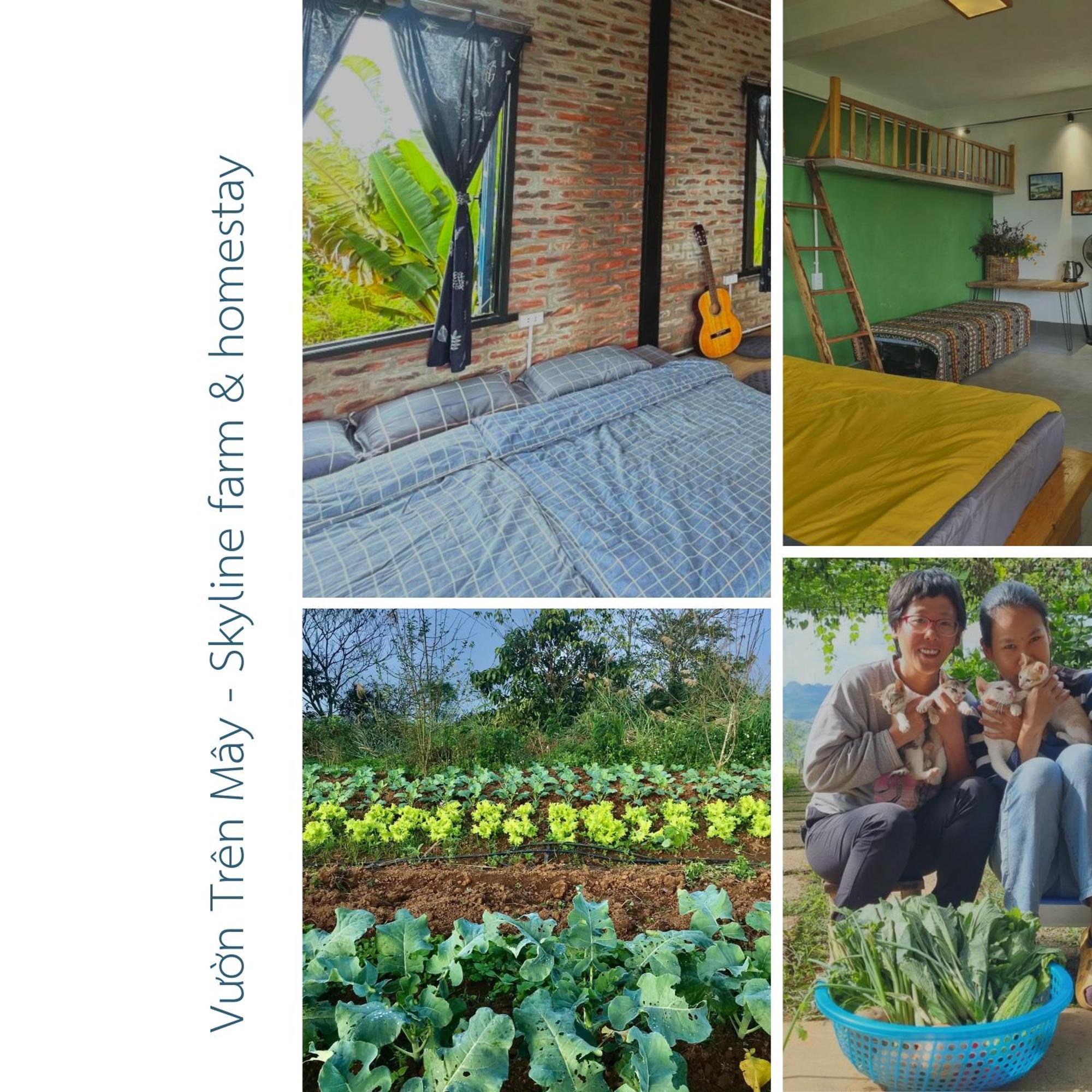 מוק צ'או Vuon Tren May - Skyline Farm & Homestay מראה חיצוני תמונה